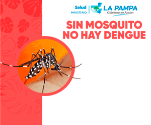 Dengue - La Pampa
